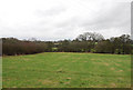 Looking downhill towards Caundle Brook