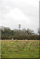 ST7312 : Radio mast at Hydes Farm by Toby