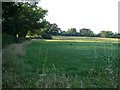 Field by Wood Hayes Road