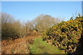 Path across wasteland south of Mynytho