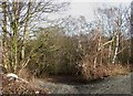 Track to the Clay Pits, near Kingswinford, Staffordshire