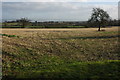 Farmland at Apperley