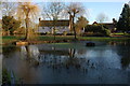 Village pond at Apperley