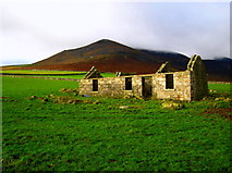 J3422 : Ruined cottage near Slieve Binnian by Mr Don't Waste Money Buying Geograph Images On eBay