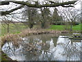 The village pond, Coldred