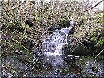 SD8984 : Waterfall in the wooded New Close Gill by Mick Borroff