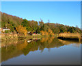 Black Rabbit Inn, River Arun