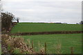 Looking up the slope from the valley