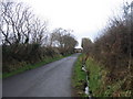 Lon wledig ger Cross Inn / Country lane near Cross Inn