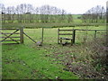 Footpath across marshy land near Horton Priory