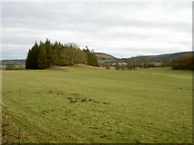 SJ1852 : Farmland near Llandegla. by David Quinn