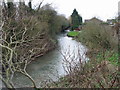 Great Stour at the rear of Willow Close