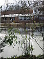 Large pond in front of Barton Court School