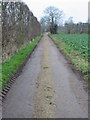 View along footpath and private road to Lower Goldstone