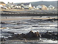 Sunken Forest, Borth