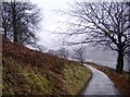 Road across Mynydd Machen Common