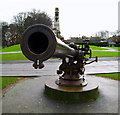 Big Gun, Ward Park