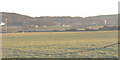 View south across the flood plain of the Soch towards Llanengan