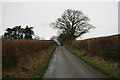 Country lane near Graig