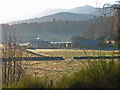 Ardmeanach cottages