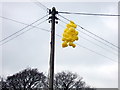 SM9717 : Yellow balloons by Natasha Ceridwen de Chroustchoff