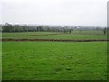 Ardnaglass Townland