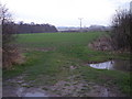 Looking towards Grotto Coppice from farm track to Lower Brompton Farm