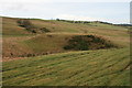 Tomen Bryn Dadlau Mound