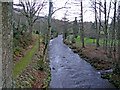 The Grwyne Fawr - view downstream