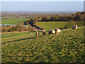 Downland, Uffington