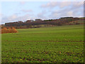 Farmland, Ashbury