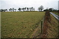 Pasture near Gwrhyd