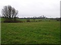 Countryside west of Gracehill