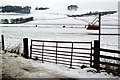 Balnagarrow Farm, near Kirriemuir