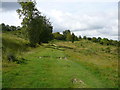 The path up Bacombe Hill