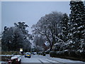 Snow in Belfast [4]