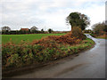 Looking west across Mill Road