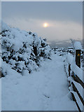 NT4936 : Winter walking on Blaikie's Hill by Walter Baxter