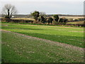 View W from Roman Way, Elvington