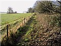 View along field edge