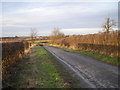 Lane from Park Farm to Frodesley.