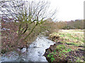 SO8272 : River Stour looking towards Wilden by P L Chadwick