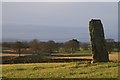 Standing stone at Airlie