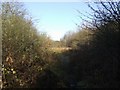 Footpath in the Littleton Leisure Park