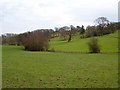 Pasture opposite Vaynor Park