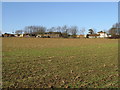 Eastling Down Farm from the Sandwich Road