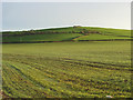 Farmland, Bincombe