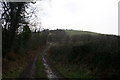 Bridleway to Mynydd Bach