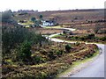 Holmsley Passage from Goatspen Plain