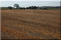 Farmland around Hartley Farm